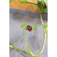 5.19 Ct. Spinel from Burma (Myanmar) Life Style