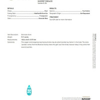 5.71 Ct. Paraiba Tourmaline from Mozambique Scan Report