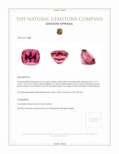 24.16 Ct. Tourmaline from Mozambique Appraisal