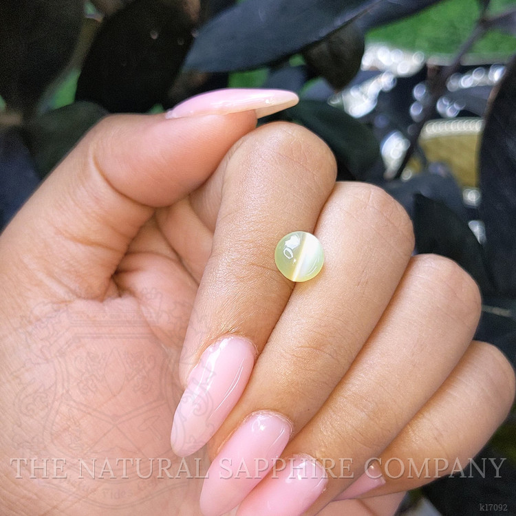2.63 Ct. Cabochon Chrysoberyl from Ceylon (Sri Lanka)