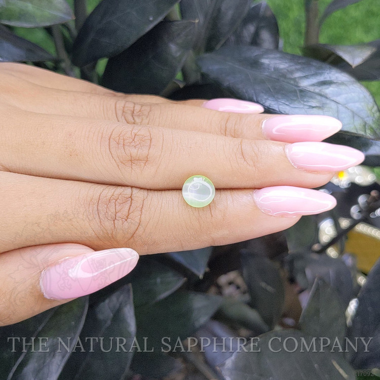 2.63 Ct. Cabochon Chrysoberyl from Ceylon (Sri Lanka)