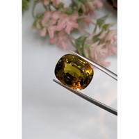 24.05 Ct. Alexandrite from Ceylon (Sri Lanka) Life Style