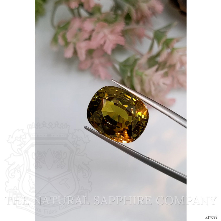 24.05 Ct. Alexandrite from Ceylon (Sri Lanka)