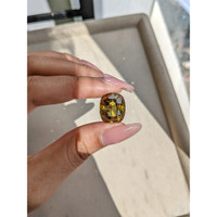 24.05 Ct. Alexandrite from Ceylon (Sri Lanka) Life Style