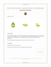 0.76 Ct. Peridot from Burma (Myanmar) Appraisal