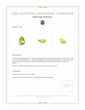 0.76 Ct. Peridot from Ceylon (Sri Lanka) Appraisal