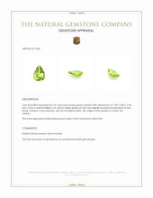 0.76 Ct. Peridot from Ceylon (Sri Lanka) Appraisal