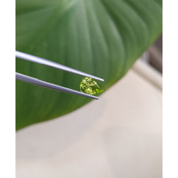 1.00 Ct. Peridot from Burma (Myanmar) Life Style