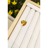 8.44 Ct. Citrine from Brazil Life Style