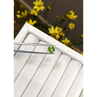 1.44 Ct. Peridot from Burma (Myanmar) Life Style