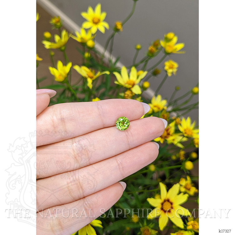 1.44 Ct. Peridot from Burma (Myanmar)