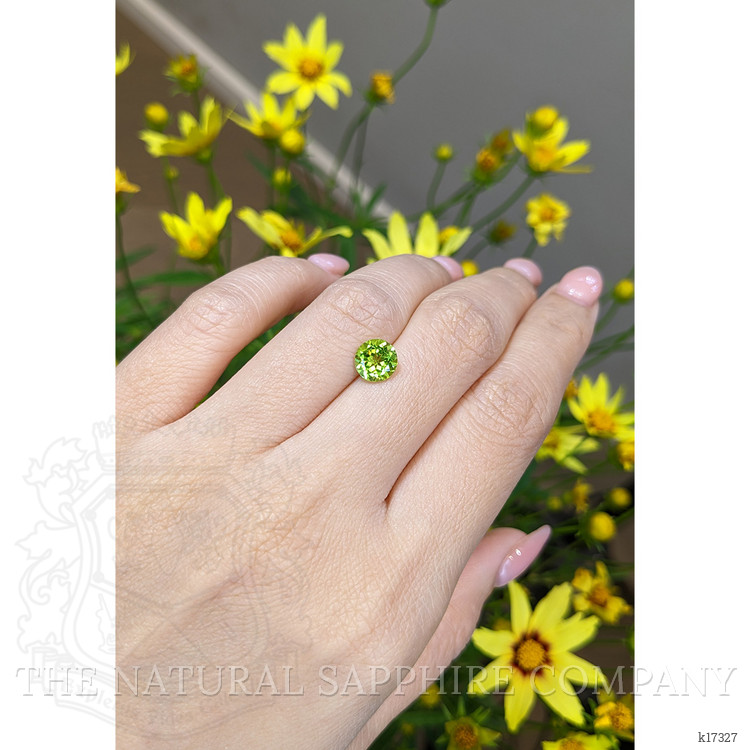 1.44 Ct. Peridot from Burma (Myanmar)