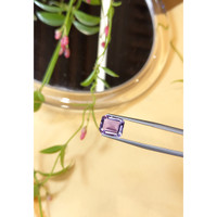 3.07 Ct. Amethyst from Brazil Life Style