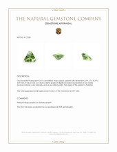 3.01 Ct. Peridot from Pakistan Appraisal