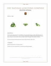 3.01 Ct. Green (Lime Green) Peridot from Pakistan Appraisal