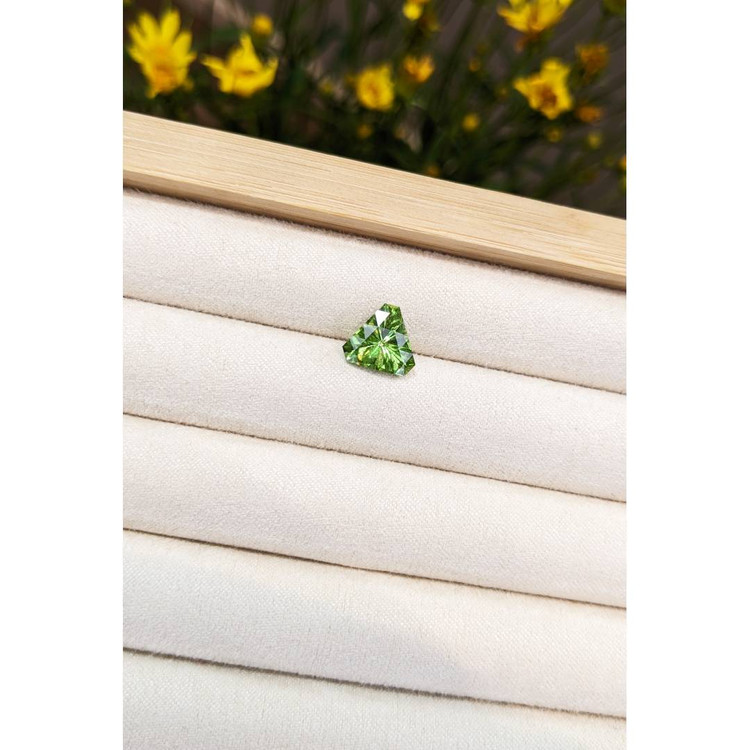 3.01 Ct. Peridot from Pakistan