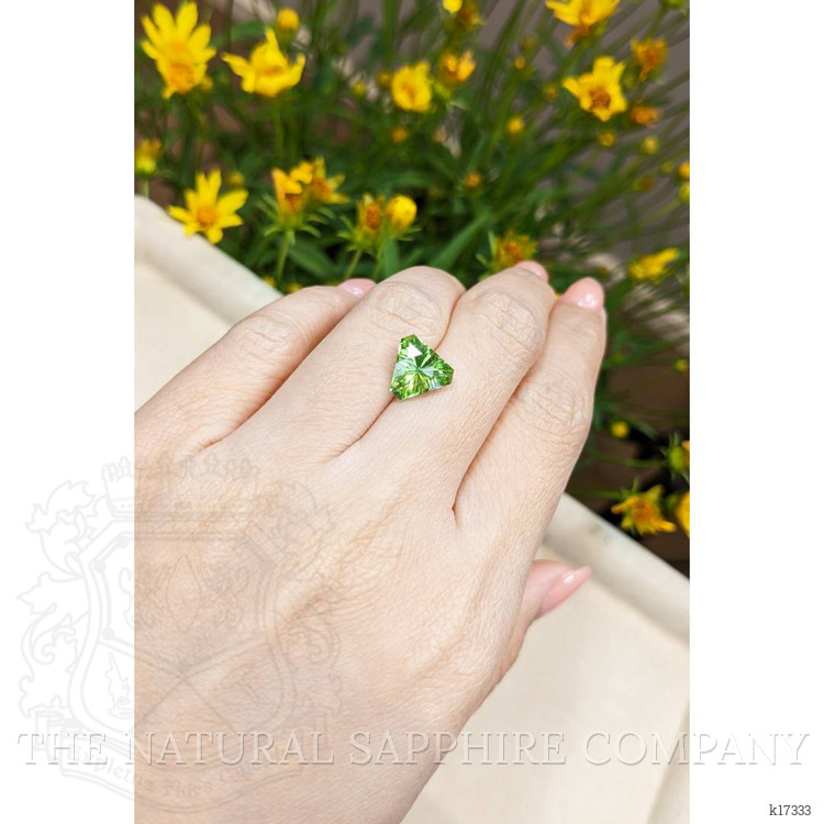 3.01 Ct. Peridot from Pakistan