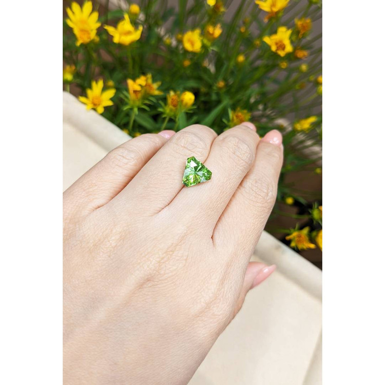 3.01 Ct. Peridot from Pakistan