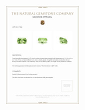 3.72 Ct. Green (Lime Green) Peridot from Pakistan Appraisal