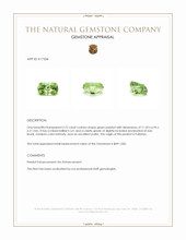 3.72 Ct. Peridot from Pakistan Appraisal