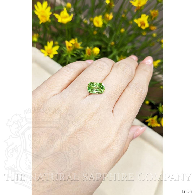 3.72 Ct. Peridot from Pakistan