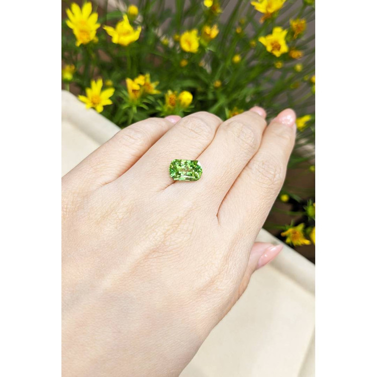 3.72 Ct. Peridot from Pakistan