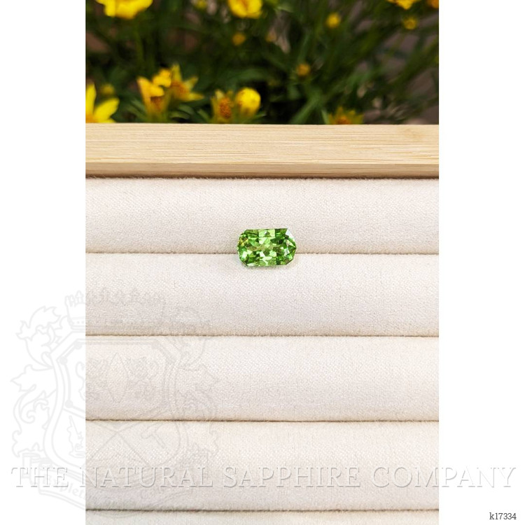 3.72 Ct. Peridot from Pakistan