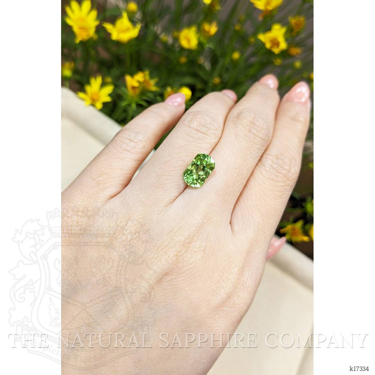 3.72 Ct. Peridot from Pakistan