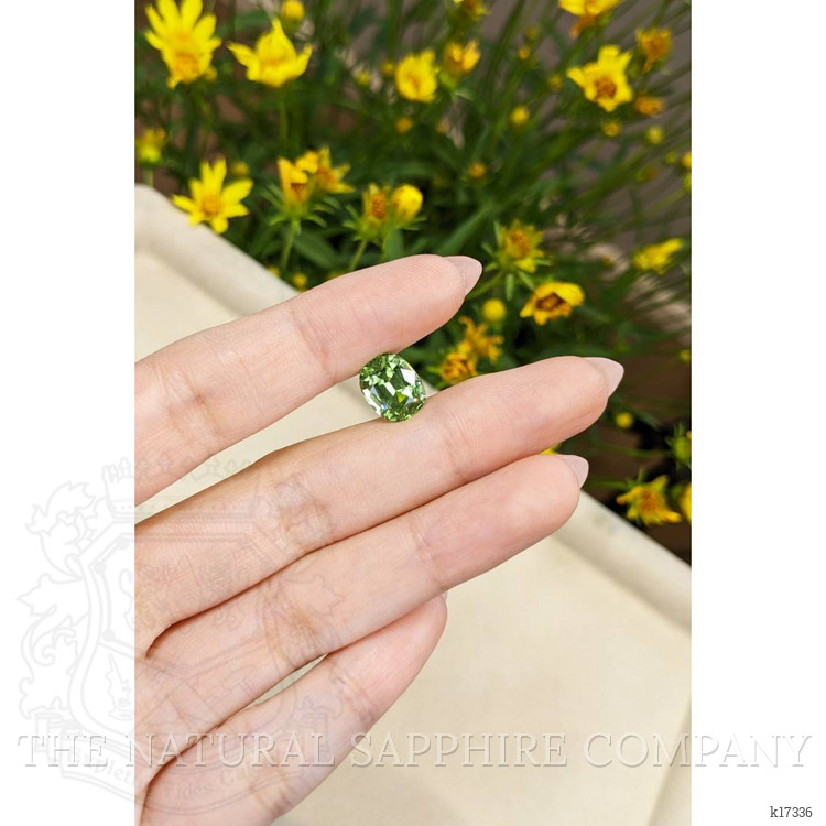 4.13 Ct. Peridot from Pakistan