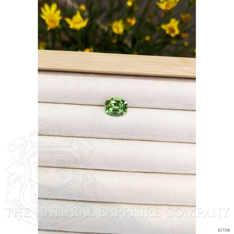 4.13 Ct. Peridot from Pakistan