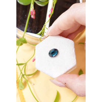 4.55 Ct. Spinel from Ceylon (Sri Lanka) Life Style