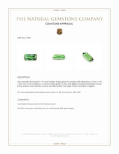 1.79 Ct. Tourmaline from Nigeria Appraisal