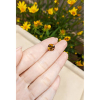 3.31 Ct. Mali Garnet from West Africa Life Style