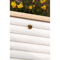 3.31 Ct. Mali Garnet from West Africa Life Style