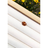 3.17 Ct. Zircon from Cambodia Life Style