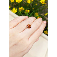 3.17 Ct. Zircon from Cambodia Life Style