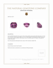 2.46 Ct. Garnet from Ceylon (Sri Lanka) Appraisal