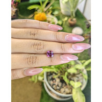 2.46 Ct. Garnet from Ceylon (Sri Lanka) Life Style