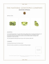 1.72 Ct. Yellowish Green Chrysoberyl from Ceylon (Sri Lanka) Appraisal