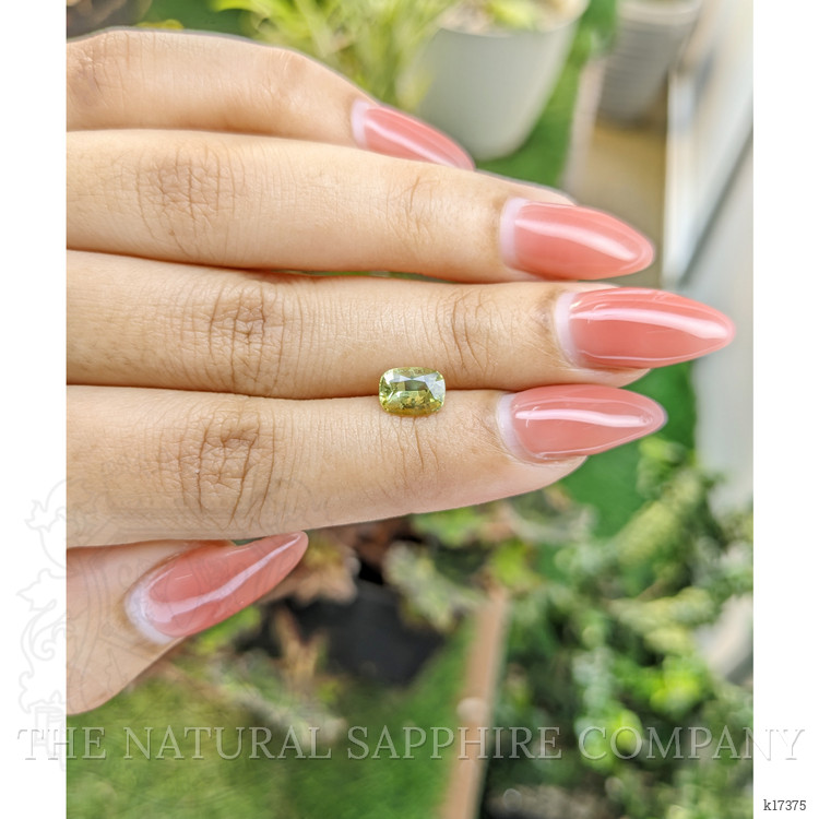 1.23 Ct. Chrysoberyl from Ceylon (Sri Lanka)