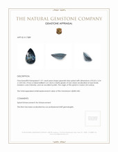 1.01 Ct. Spinel from Ceylon (Sri Lanka) Appraisal