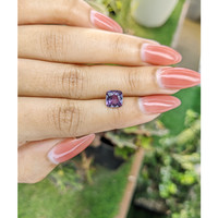 1.78 Ct. Spinel from Ceylon (Sri Lanka) Life Style