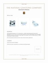 16.76 Ct. Topaz from Ceylon (Sri Lanka) Appraisal