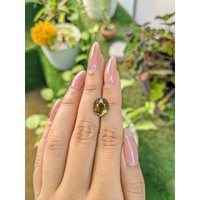 5.46 Ct. Tourmaline from Ceylon (Sri Lanka) Life Style