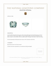 2.85 Ct. Beryl from Ceylon (Sri Lanka) Appraisal