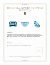 23.49 Ct. Aquamarine from Brazil Appraisal