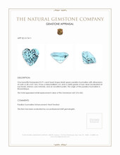 0.91 Ct. Paraiba Tourmaline from Mozambique Appraisal