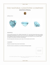 0.91 Ct. Paraiba Tourmaline from Mozambique Appraisal
