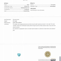 0.91 Ct. Bluish Green Paraiba Tourmaline from Mozambique Pdf