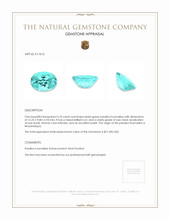 4.10 Ct. Paraiba Tourmaline from Mozambique Appraisal